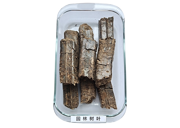 园林树叶